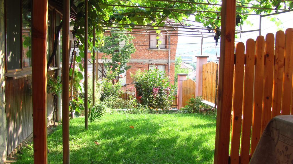 Guesthouse Elena เบโลกราดชิก ภายนอก รูปภาพ