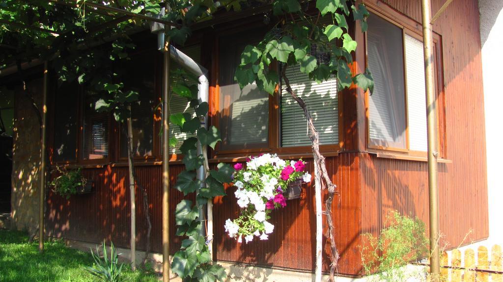 Guesthouse Elena เบโลกราดชิก ภายนอก รูปภาพ